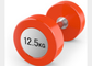 Cor acessória do peso do plutônio durável do peso/Gym da aptidão do Gym opcional