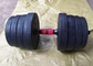 peso ajustável do cimento revestido de borracha da aptidão do Gym 40kgs